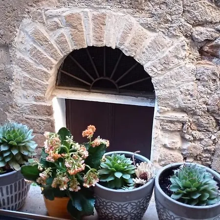 Casa Appartamento Per Vacanze - Casa Campanfiore - Al Centro Storico Di Zagarolo - Per 4 Ospiti Exterior foto